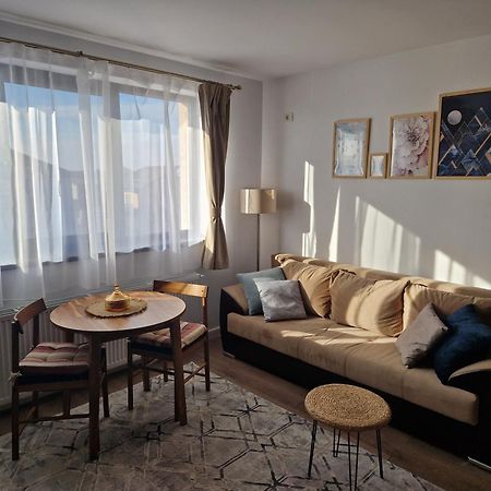 Craitelor Boutique Airport Apartment Otopeni Exterior foto